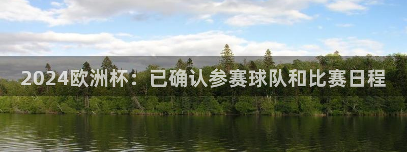 欧洲杯可以买冠亚军吗：2024欧洲杯：已确认参赛球队和比赛日程