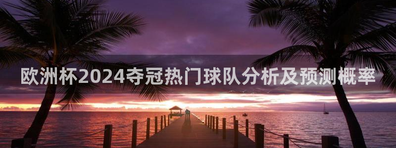 欧洲杯在哪个网站购买|欧洲杯2024夺冠热门球队分析及预测概率