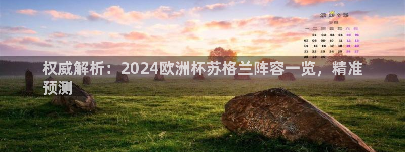 欧洲杯下单平台官网|权威解析：2024欧洲杯苏格兰阵容一览，精准
预测