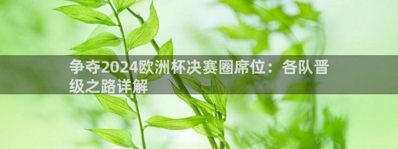 欧洲杯投注官方网站入口|争夺2024欧洲杯决赛圈席位：各队晋
级之路详解