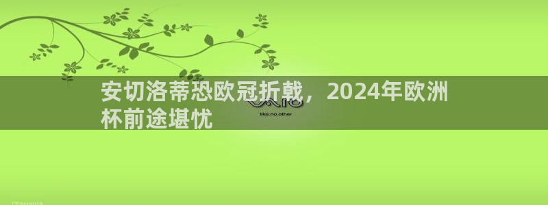 2024正规欧洲杯平台