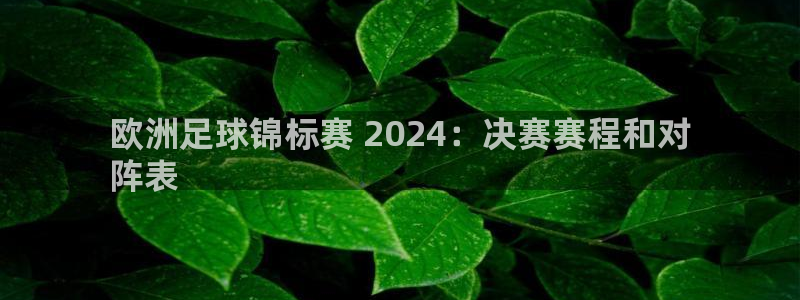 欧洲杯投注在哪找网址|欧洲足球锦标赛 2024：决赛赛程和对
阵表