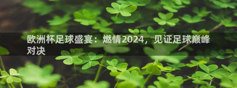 welcome欧洲杯开户|欧洲杯足球盛宴：燃情2024，见证足球巅峰
对决