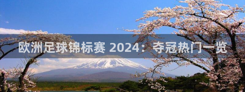 欧洲杯哪里买球靠谱|欧洲足球锦标赛 2024：夺冠热门一览