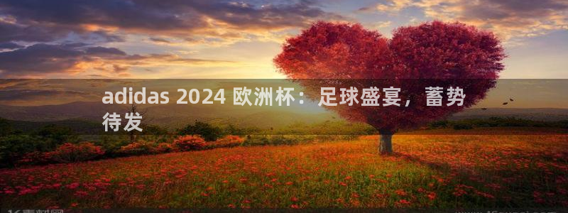 欧洲杯投注官方网站入口|adidas 2024 欧洲杯：足球盛宴，蓄势
待发