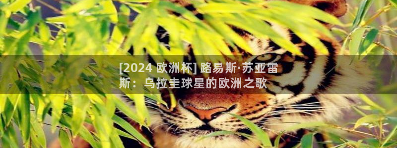 欧洲杯在哪个网站购买|[2024 欧洲杯] 路易斯·苏亚雷
斯：乌拉圭球星的欧洲之歌